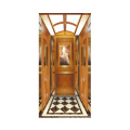 Professional Supplier Provide Various Designs Lifts Elevator Small Home